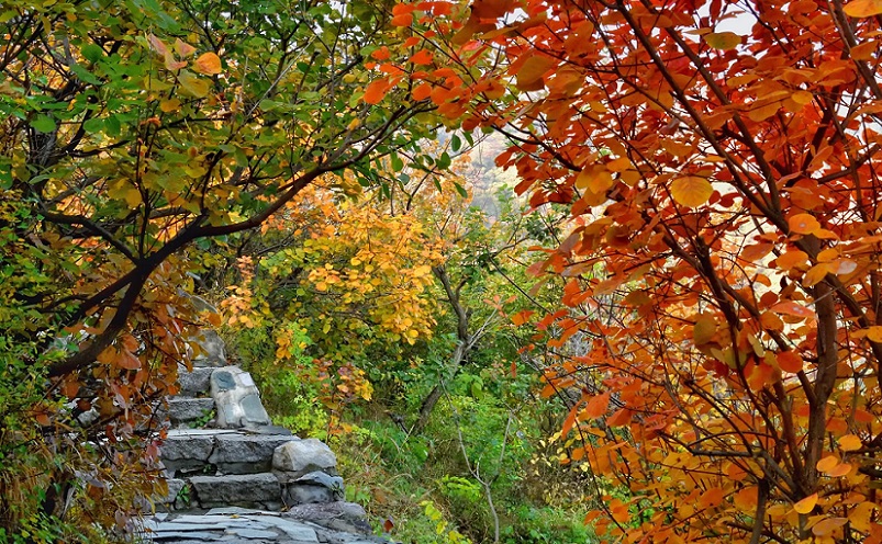 北京必须去的几个地方旅游景点,去北京旅游必去的十个景点