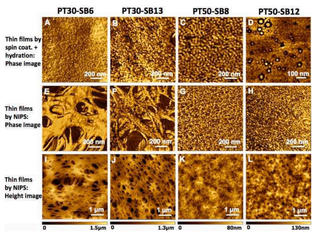 环糊精聚合物的自组装,聚合物胶体的自组装