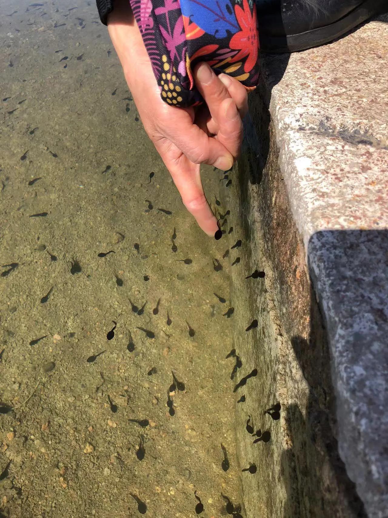 辽西自驾游一日游攻略,辽西自驾游一日游