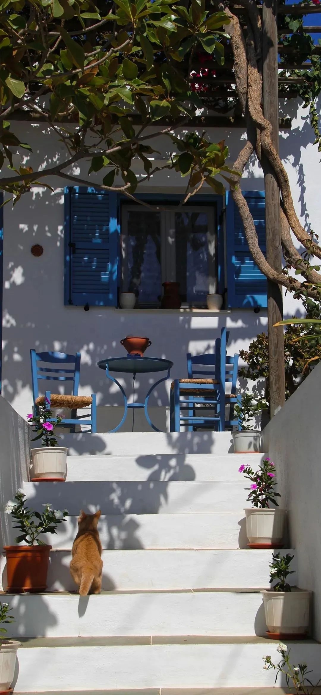 活在当下静心修养的壁纸,也许这就是理想的生活壁纸