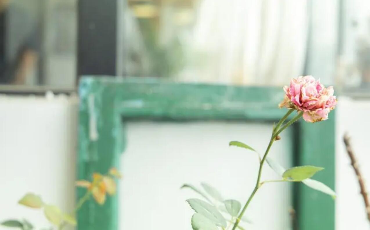 天蝎座2022年指南,天蝎座下周指南