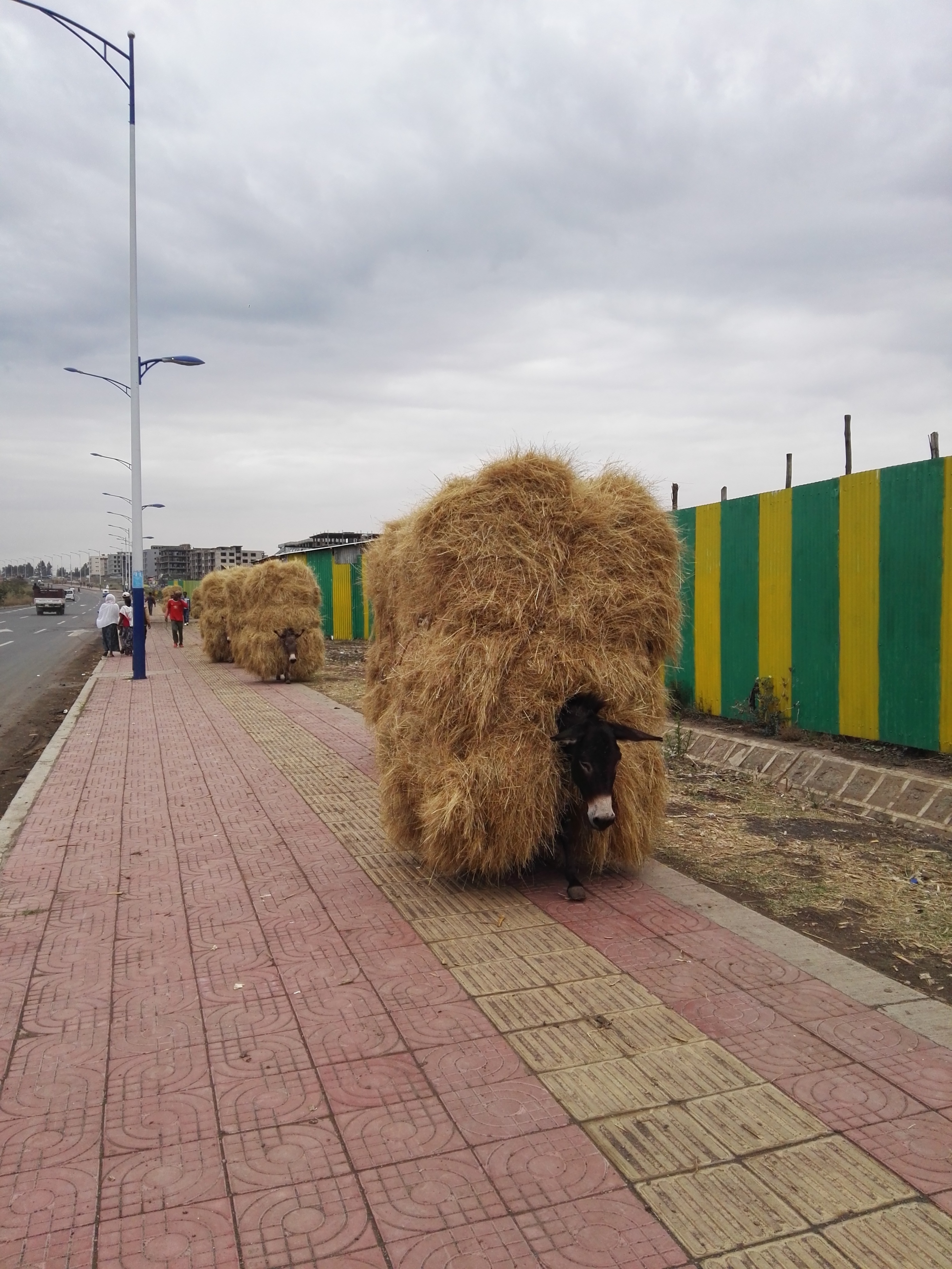 非洲开发样本：亚的斯亚贝巴在城市规划和项目策划上的缺陷