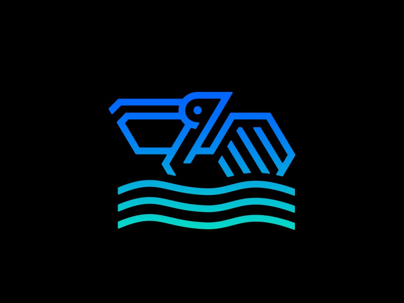 鹈鹕嘴大吃四方到底有多嚣张,大嘴鹈鹕名片