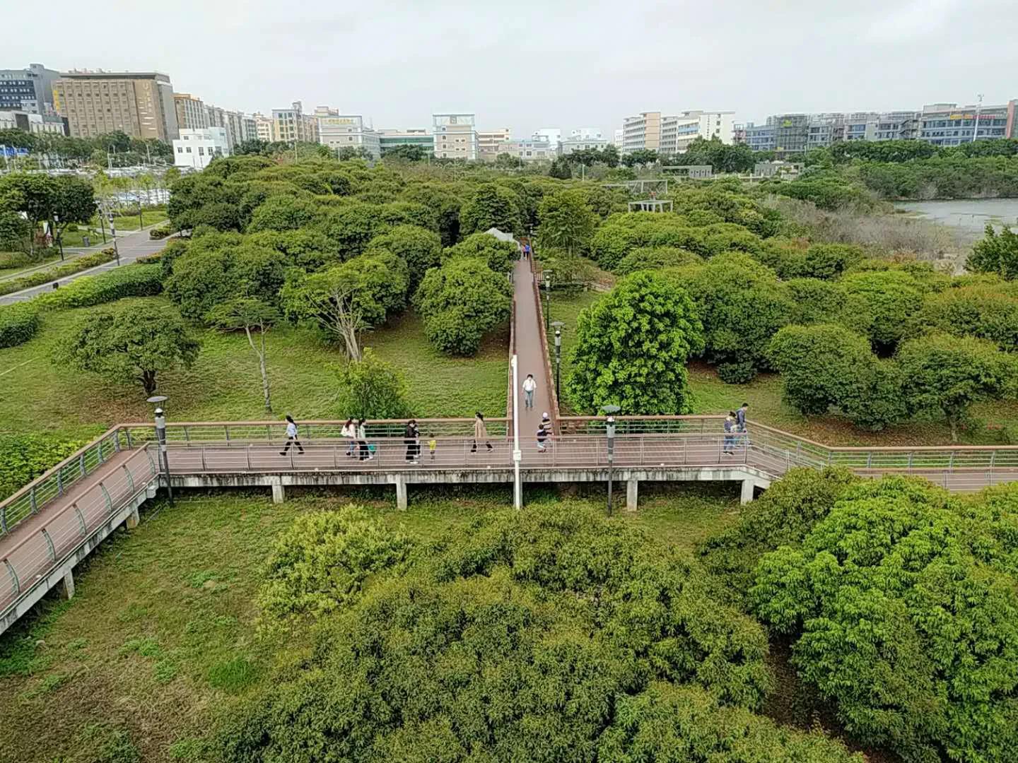 深圳宝安立新湖公园介绍,宝安福永立新湖公园