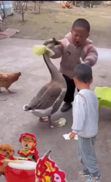 “无意中在女同事车上发现的，这是用来干嘛的？”网友们内涵了