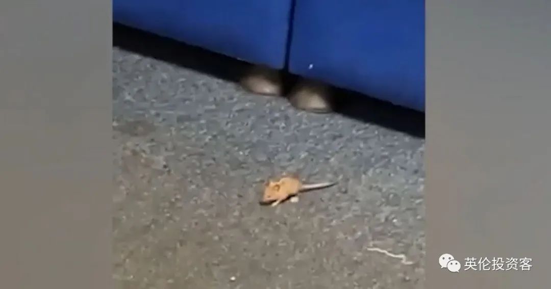 英国推出高潜力人才签证条件,印度签证英国