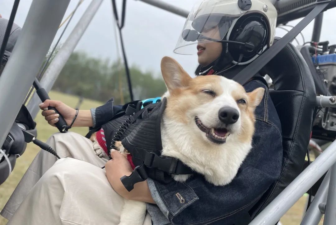 全羊宴烤乳猪、神秘矿坑、湿身派对…有趣不扎堆,假期支棱起来吧