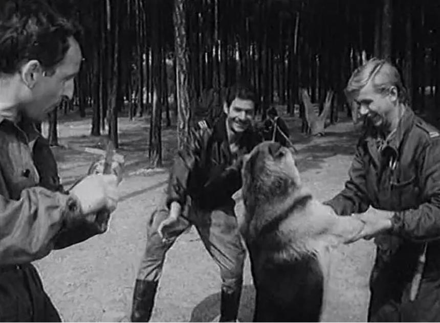 老婆被击毁！我们撤！盘点那些你绝对不知道的“鲁迪”冷知识