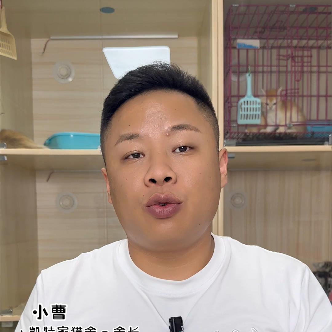 聊一下质保#西安宠物#西安凯特家猫舍#vlog日常