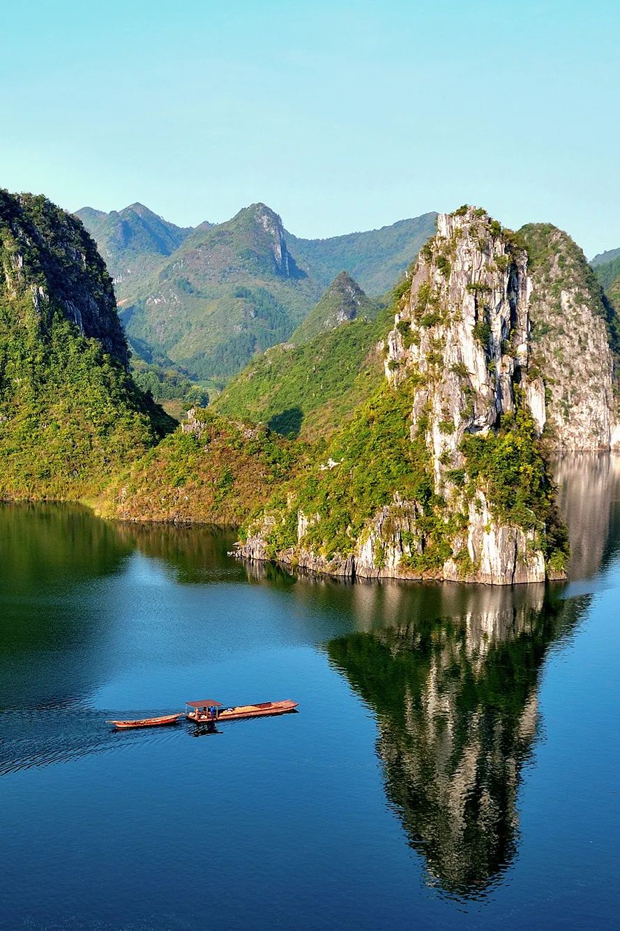 猫咪走太空步原视频最火,猫咪壁虎漫步视频