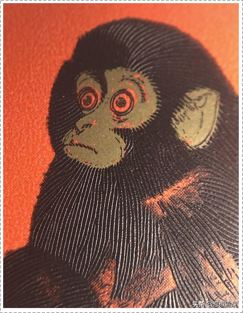 80年红猴邮票怎么辨别真伪,1980年猴邮票高清大图