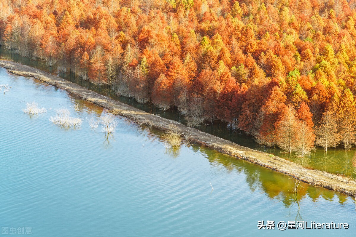 报告文学李庆霖,报告文学刘继平