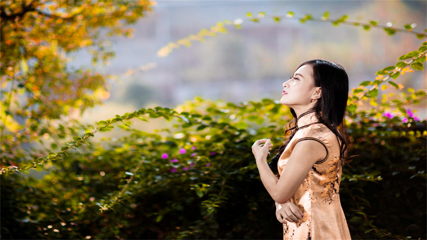 往事如风一切如梦,往事如风人生如梦岁月如歌