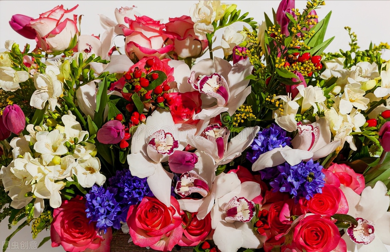 一花一世界一叶一花一菩提,春天来了一花一世界一叶一菩提