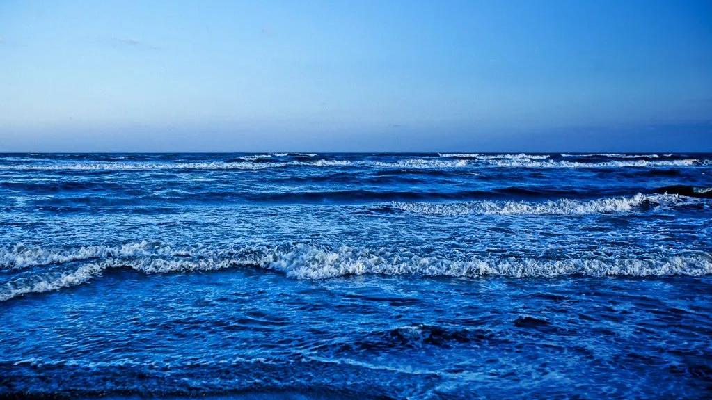 好文共分享全文,好文一起分享