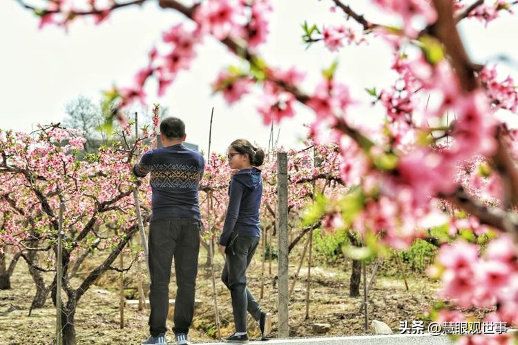 侯海洋和吕明的爱情,侯海洋初恋