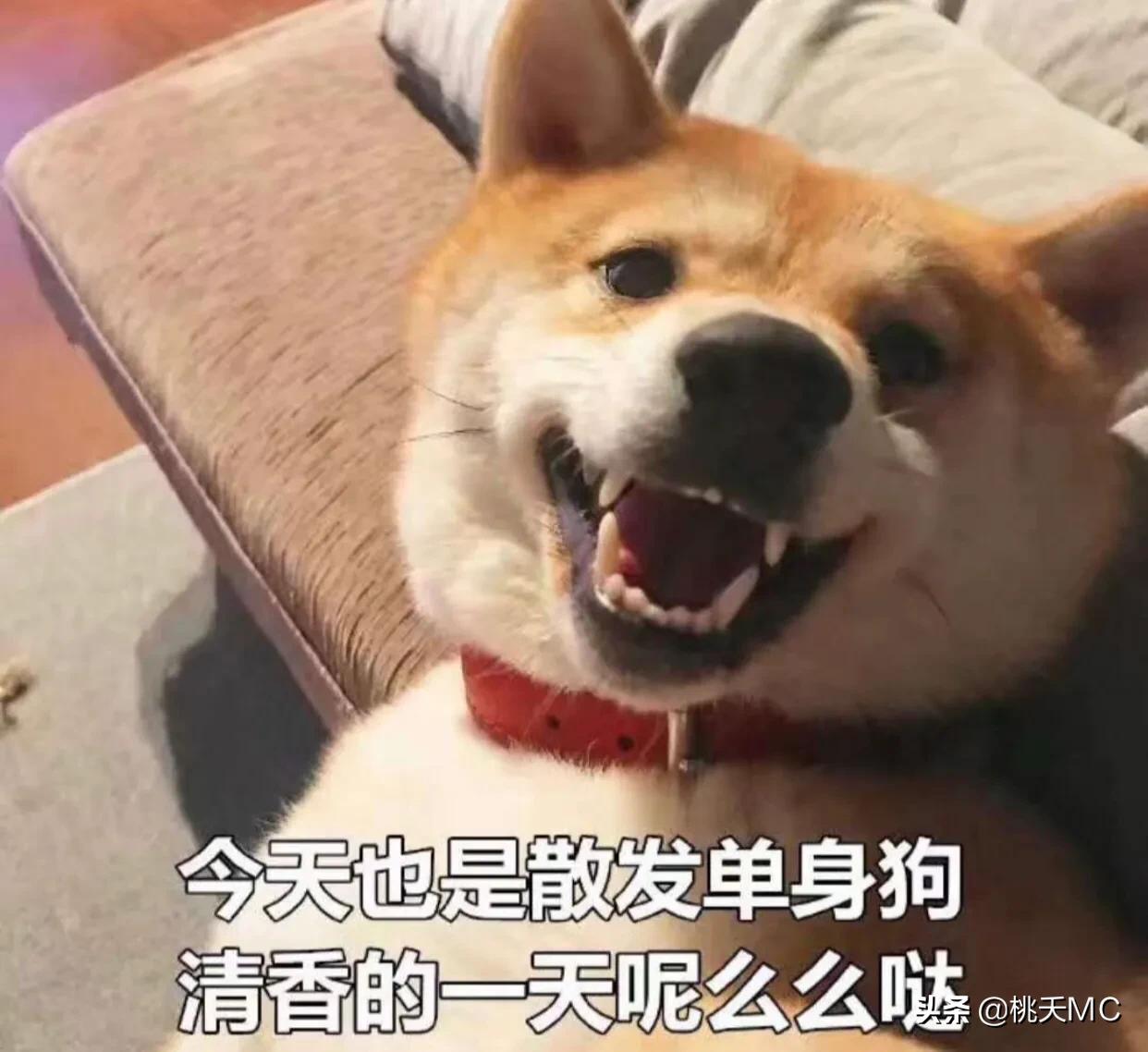 男人一辈子不结婚的生活,男人一辈子不恋爱会怎么样