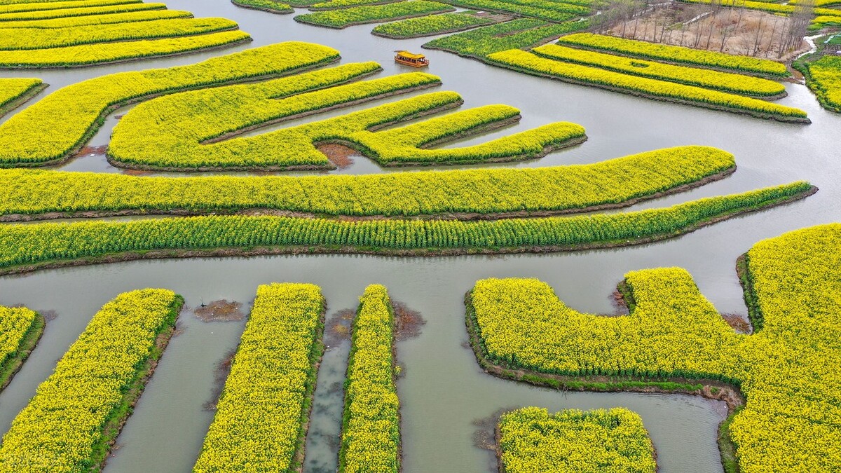 兴化城里钓鱼的地方,兴化钓鱼的地点有哪些景点