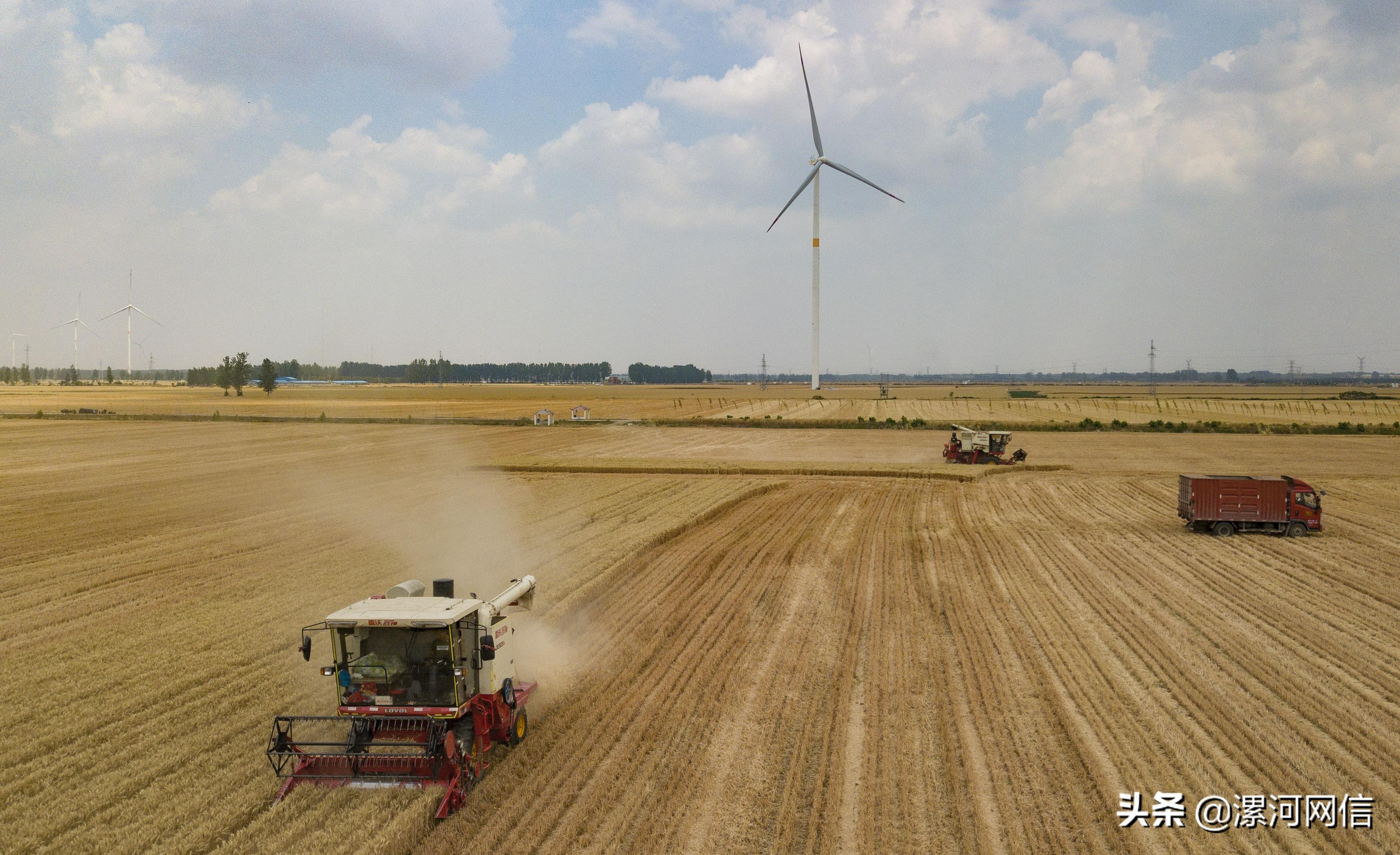 双汇集团对漯河的gdp贡献,漯河gdp与驻马店gdp相比