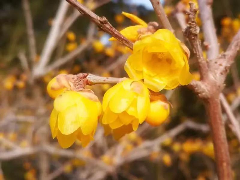 用心发现生活中的美景,用心发现美生活中处处是风景