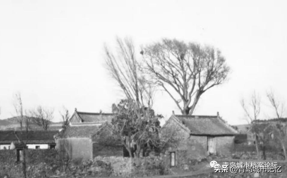 话说错埠岭“于姑庵”（下篇）