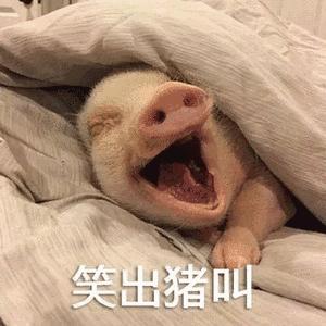 为什么吸毒后有被害妄想,吸毒患者大脑和正常人有区别吗