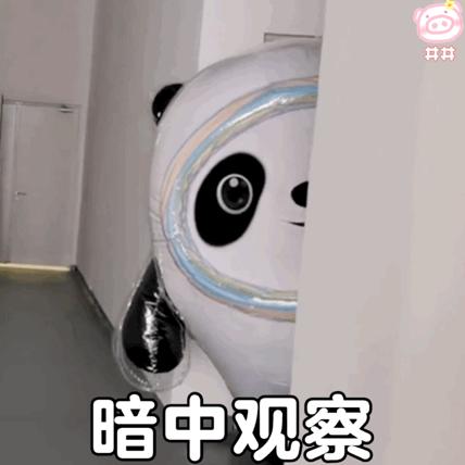 冰墩墩卖假的被警察抓,冰墩墩找别人代购靠谱吗