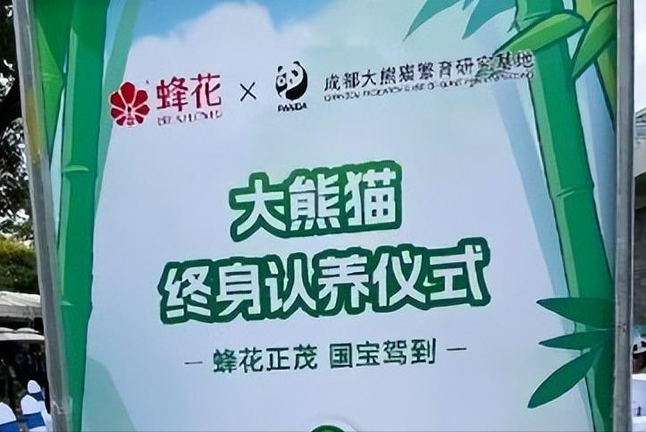 国货品牌蜂花认养大熊猫花宝,蜂花代言人熊猫
