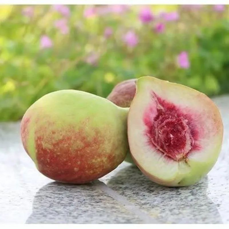 鹰嘴桃脆香甜,赣南鹰嘴桃新鲜现摘