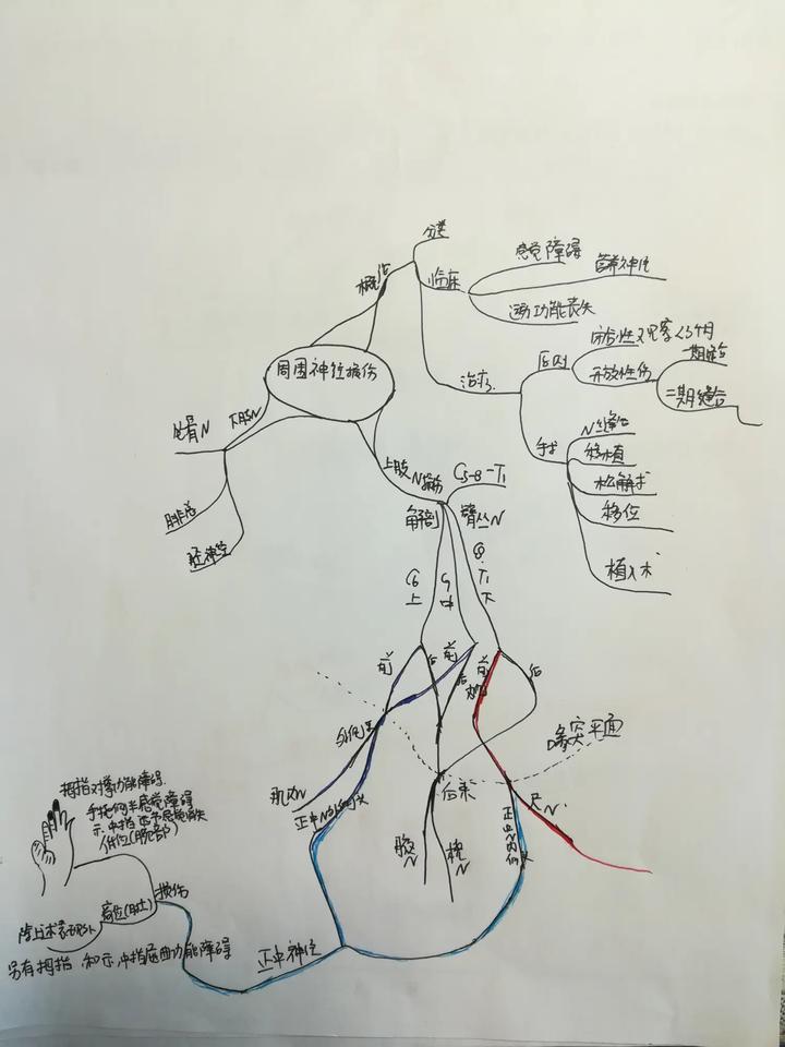 骨外科主治怎么备考,骨外科学正高考试押题