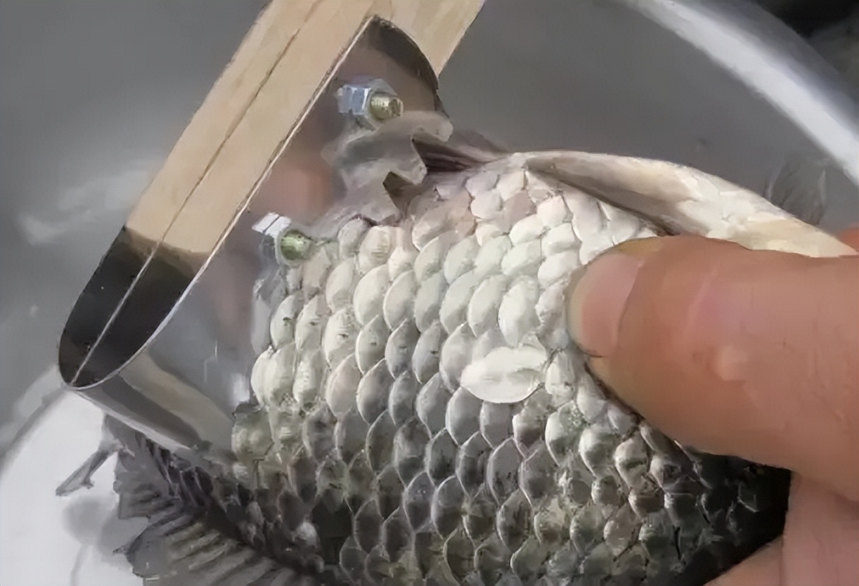 天热了这6道菜必吃,这5种鱼不建议食用