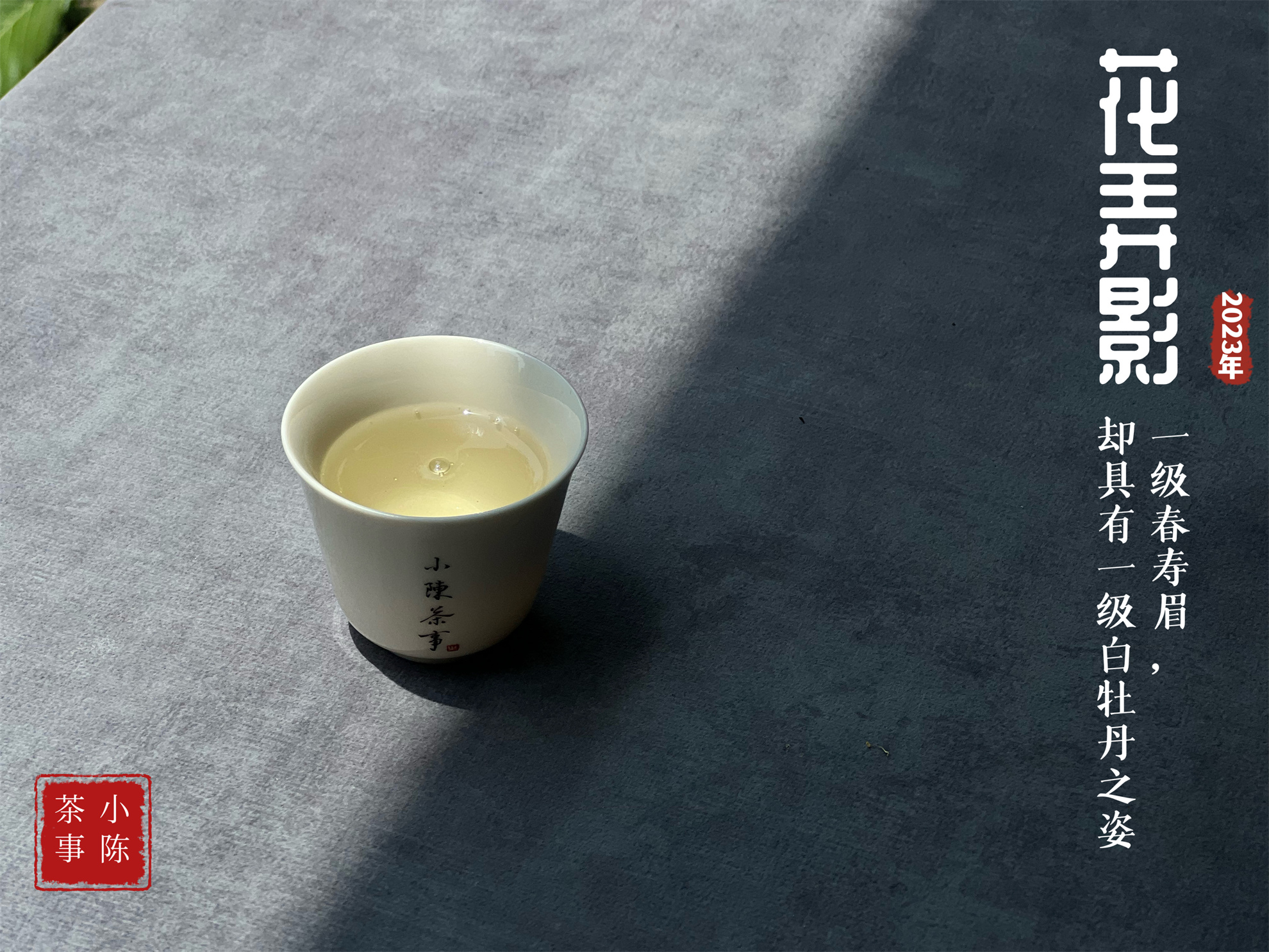 100克白茶400元,100元以内的白茶推荐