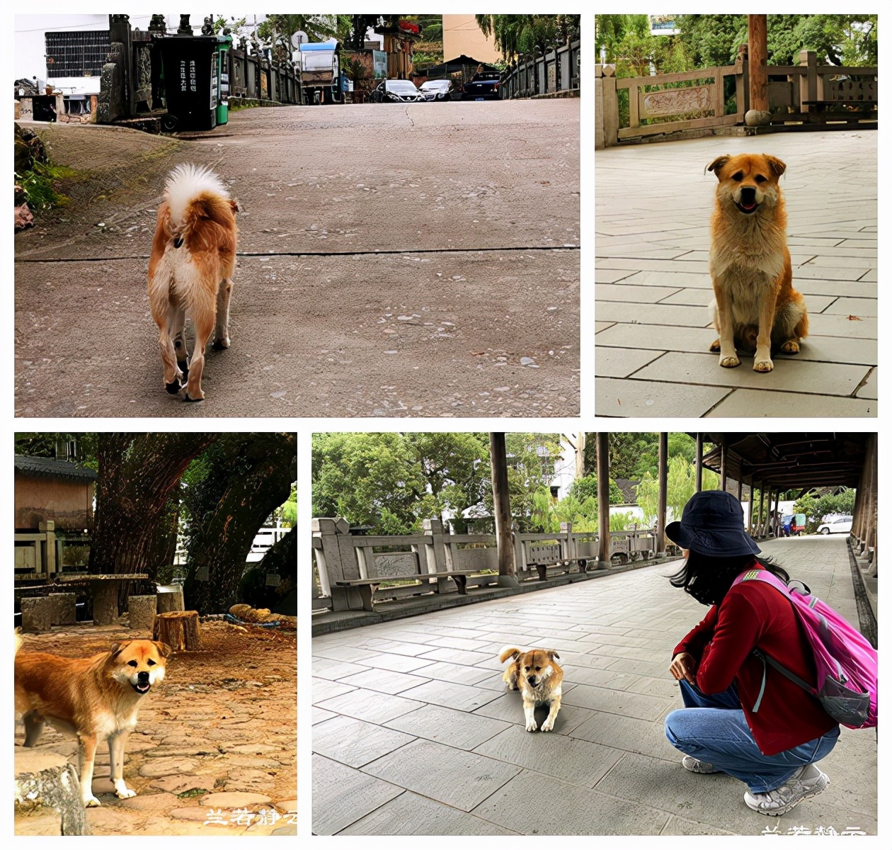 寿宁状元西浦村,寿宁西浦状元故里简介