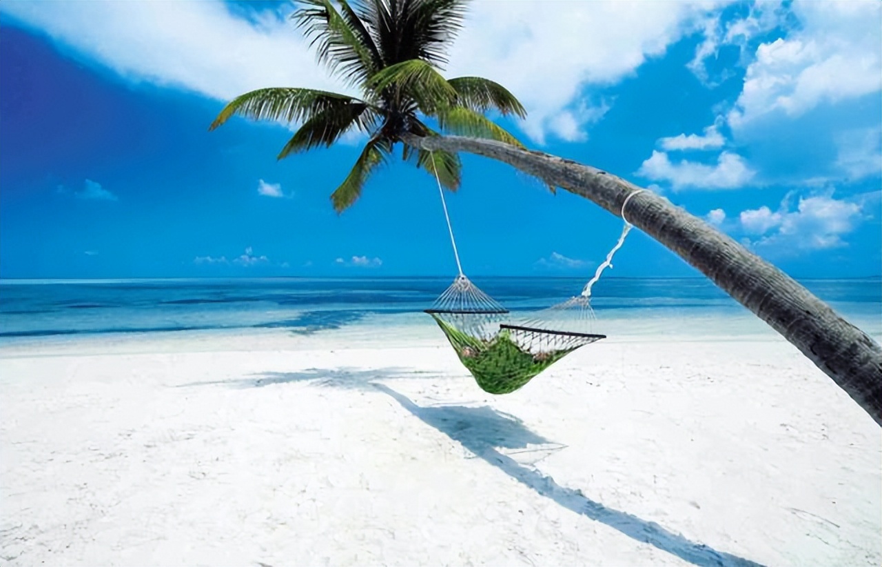 快穿女配人设又崩了小说,推荐五本好看的快穿小说排行榜