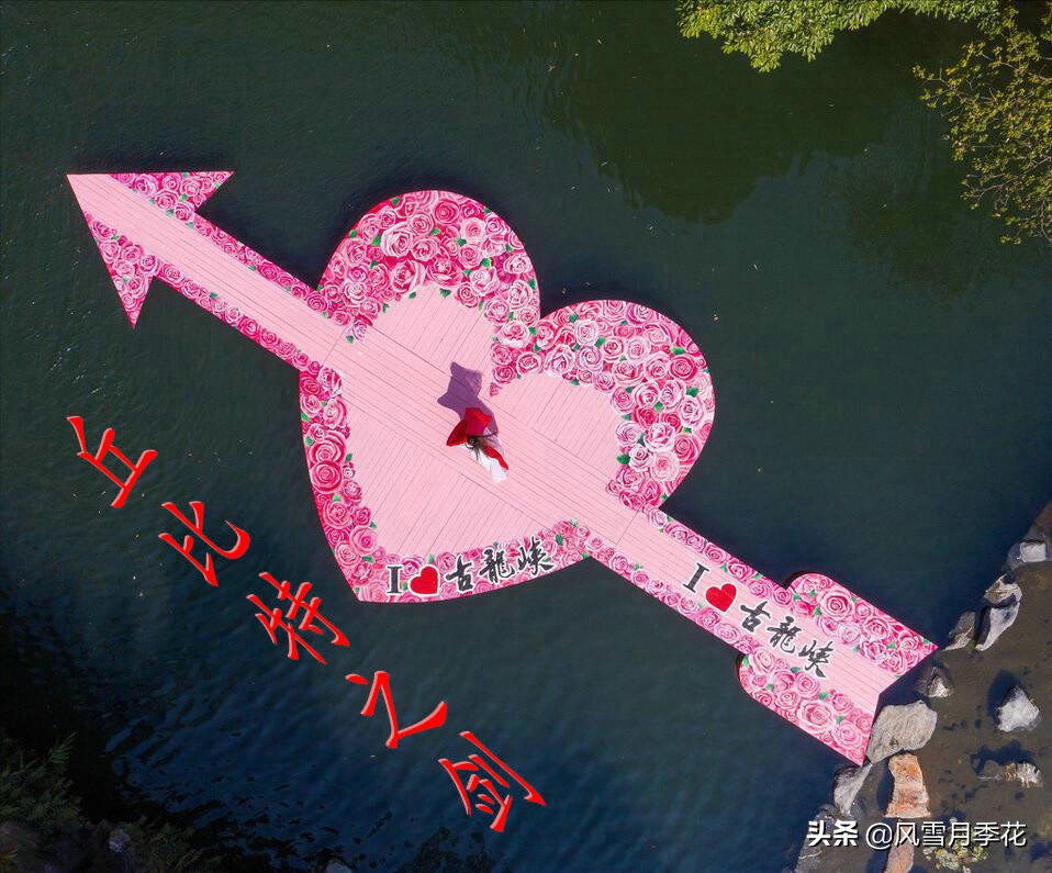 金蝉的品种的叫声,金蝉怎么鸣叫