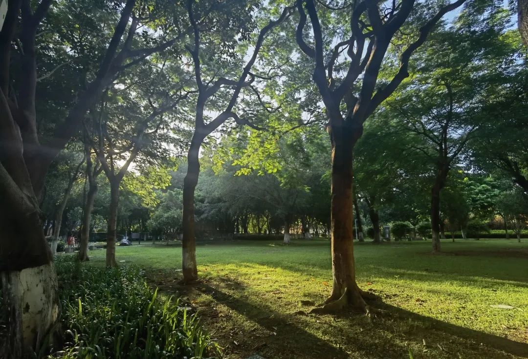 暑假我们来到了中国闻名的鼓浪屿,鼓浪屿暑假免费游玩攻略