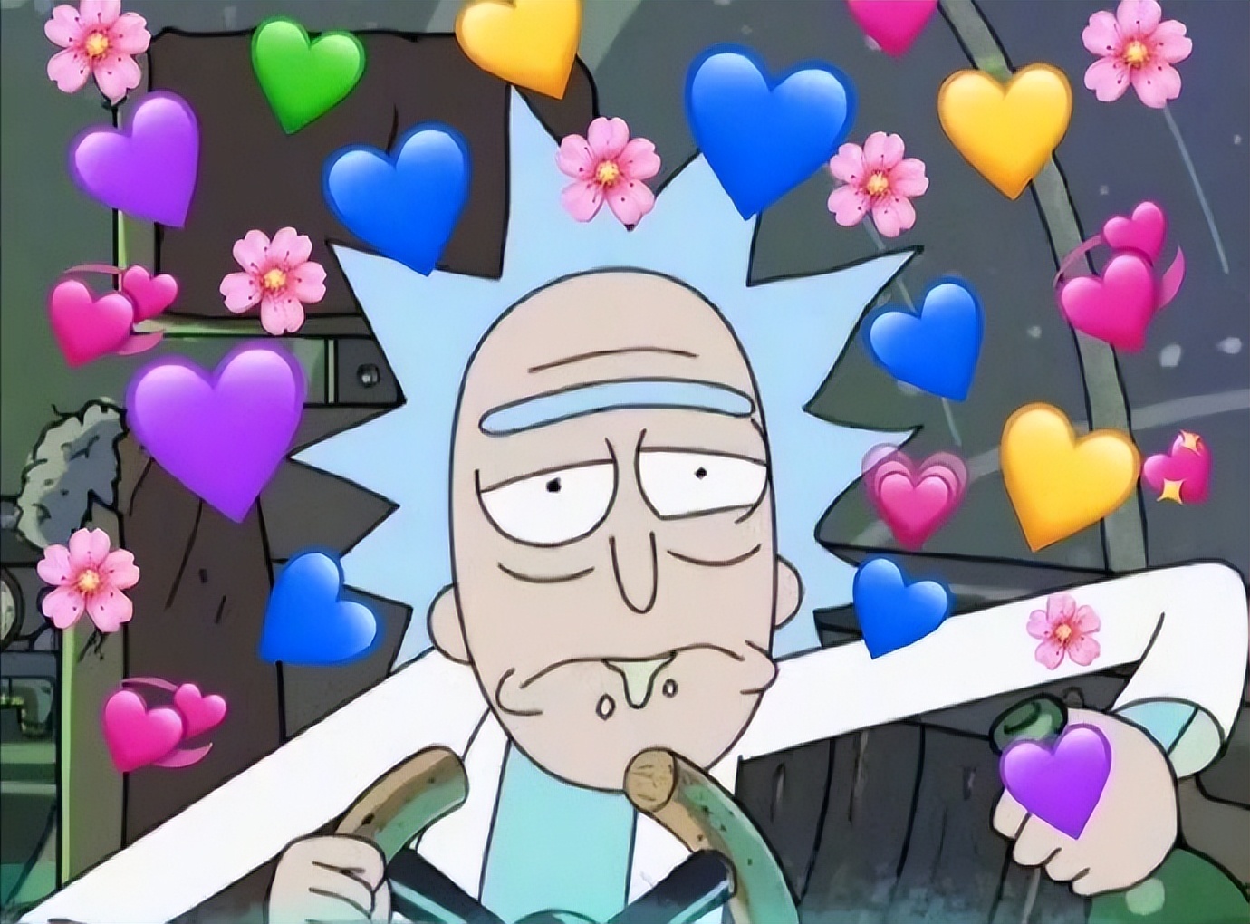 爱心动物表情包,拒绝爱心表情包