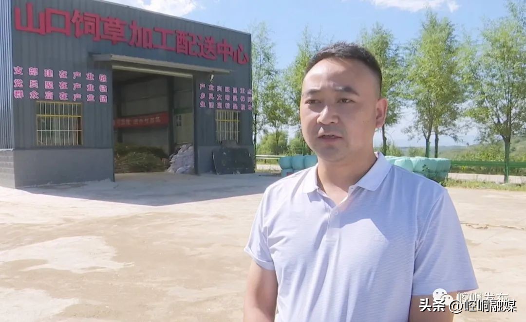 “我们这十年”丨崆峒：“畜”势勃发“牧”歌欢唱