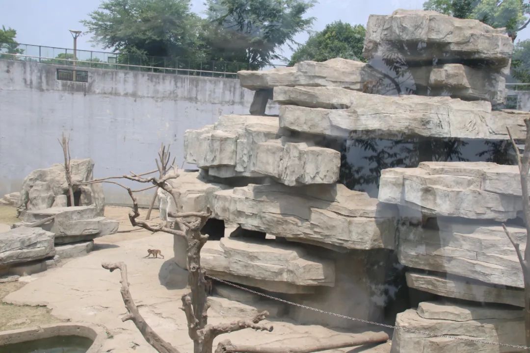 邢台动物园变大了没,淮安动物园开发时间