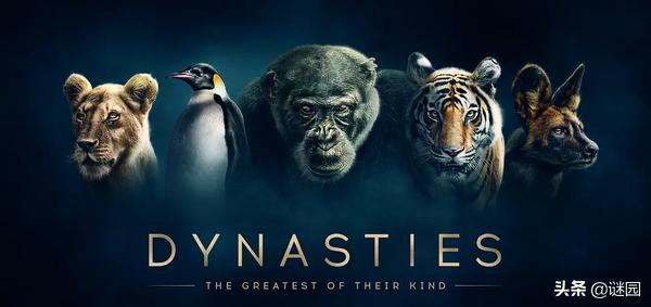 亲子互动纪录片大全,适合儿童看的自然界纪录片