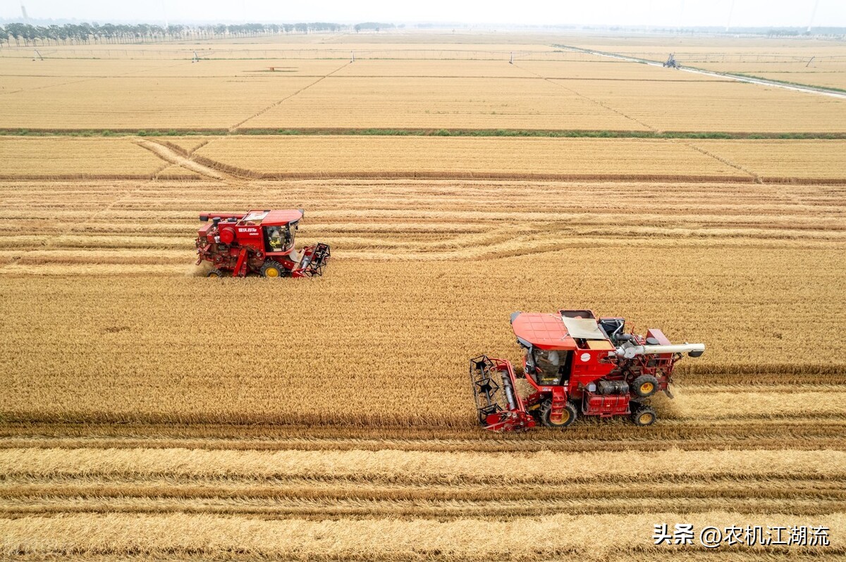 东方红lx904对比沃得1204哪个好点,小麦收割机中国vs德国