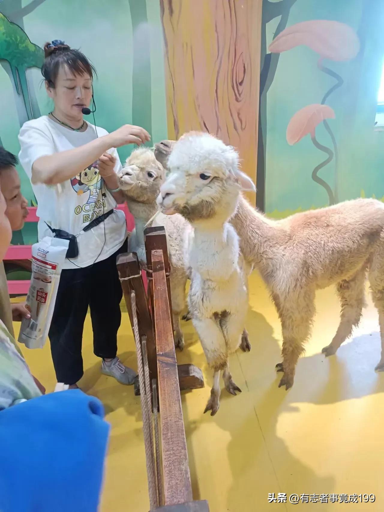 在西安去海洋馆,西安海底世界海洋馆