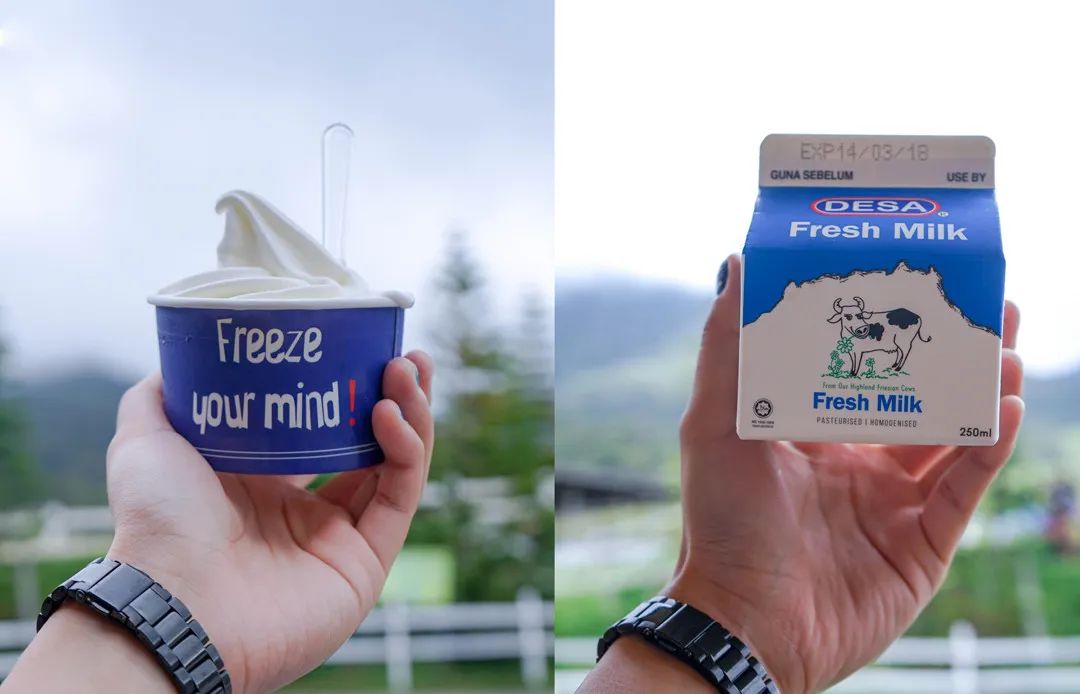 去马来西亚自由行行程,春节去马来西亚自由行