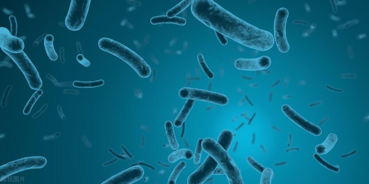 女外阴瘙痒是不是真菌感染,为什么女人会得霉菌性阴道炎