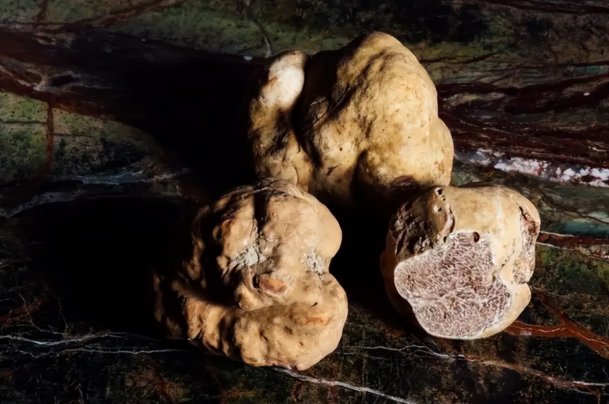 以前猪吃的菜叫什么,松露是顶级食物吗