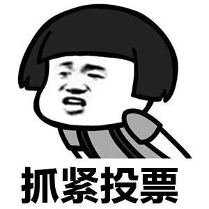 网络投票是不是形式主义,网络投票是如何成为新的形式主义