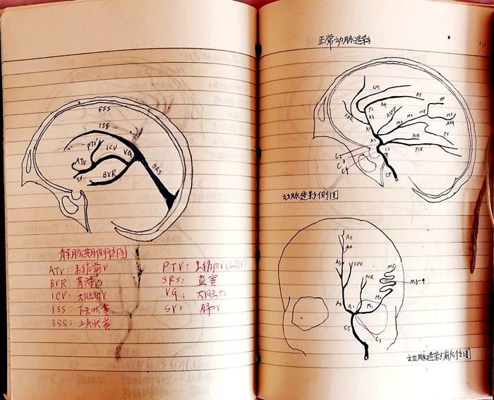 当兵去陆军集团军咋样,陆军总院当兵体检