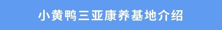 【三亚海滨康养】住在专属中国的“夏威夷”看椰林细浪享海滨风情