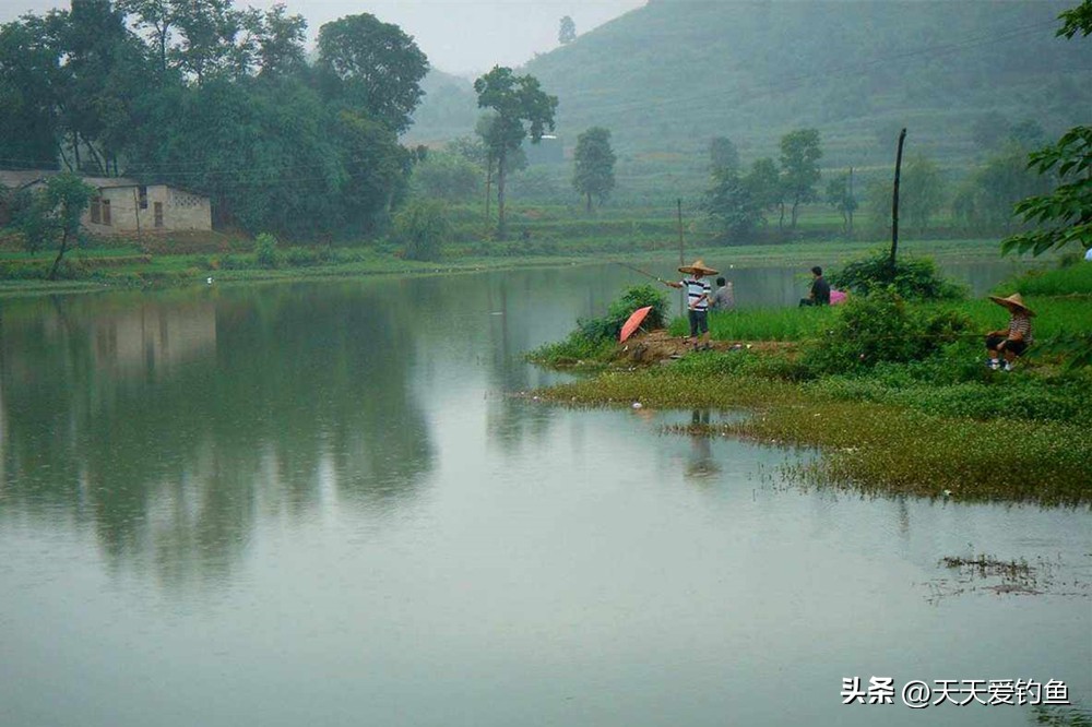什么天气鱼比较活跃好钓,夏季什么风向鱼最难钓