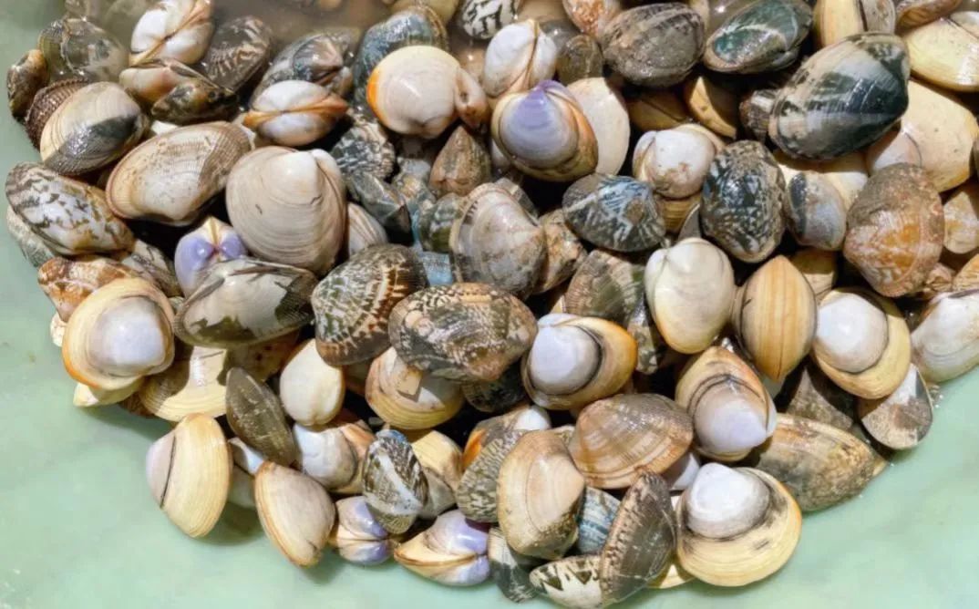 天津冬季遛娃,天津遛娃的免费公园